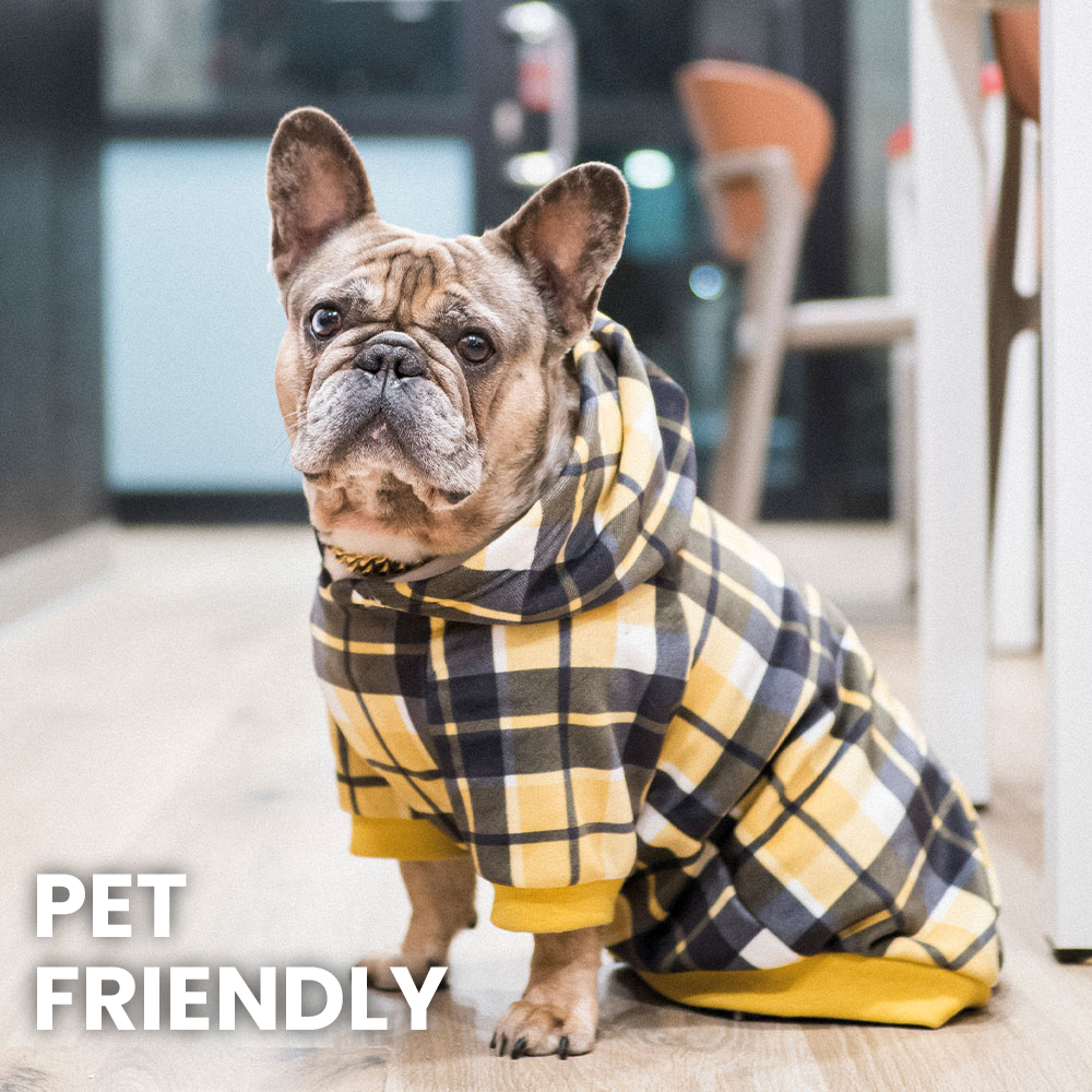 Somos pet friendly ven con tu mascota